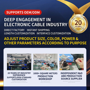 Câble d'extension universel pour allume-cigare de voiture 12V-24V, câble de connexion de charge pour allume-cigare à tête unique, personnalisable - Product Image 4