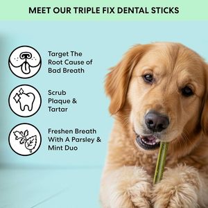 Masticables Dentales para Perros, 28 Palitos, Sabor a Pollo, Menta y Perejil, Golosinas Dentales, Palitos para Limpiar los Dientes, Huesos Dentales - Product Image 2