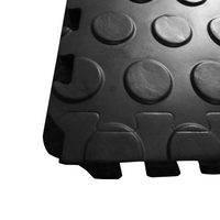 Tapis de remorque écologique sans odeur utilisés pour les animaux domestiques et les poneys Tapis d'écurie en mousse EVA à emboîtement