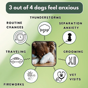 OEM <strong>Best</strong> Selling High-Protein <strong>Dog</strong> Calming Soft Chew Granules with Green Tea Extract for All Ages - Product Image 3