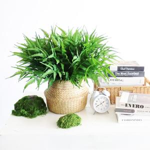 Plante Artificielle Réaliste en Pot – Plantes Artificielles Économiques Effet Naturel – Herbe Haut de Gamme pour Terrains de Football – Fougères Artificielles - Product Image 1