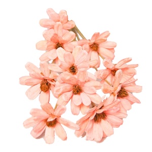 Fabricants de fleurs séchées vente en gros de graines de melon de coquille de fruit bouquet fait à la main arrangement de fleurs douces - Product Image 5