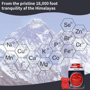 Top qualité Shilajit Gummies vieillissement sain système immunitaire extrait de Shilajit complément alimentaire Shilijit bonbons gommeux - Product Image 6