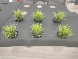 Dày PP nhựa chống cỏ che phủ mặt đất thoáng khí thấm chống lão hóa nông nghiệp cây ăn quả vườn cây dệt vẽ - Product Image 3