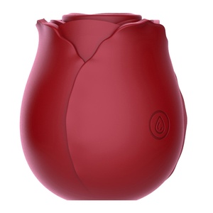 Vibratore a ventosa per clitoride e capezzoli, stimolatore del punto G, giocattolo sessuale per donne, ricaricabile USB, 10 velocità, all'ingrosso - Product Image 2