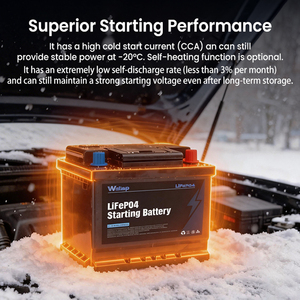 Batería de Coche LiFePO4 de <span class=keywords><strong>12V</strong></span> <span class=keywords><strong>36Ah</strong></span> sin Mantenimiento, Batería de Litio Hierro Fosfato de Alto CCA para Arranque, Reemplaza a SLA/<span class=keywords><strong>AGM</strong></span> - Product Image 5