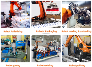 DZJX 3 4 5 6 Axes Robot Palettiseur Bras Pour Bloc De Béton Robot Palettiseur Wrapper Wrap Palette Machine D'emballage - Product Image 5