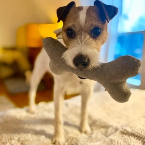 Wholesale Eco-Friendly Cotton Cartoon Custom Logo Sustainable Tug Chew Interactive Dog Bone Pet Toy