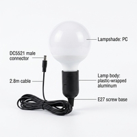 Ampoule LED 12V pour usage extérieur avec câble de 2,8 m ou 5 m, prise DC5521, interrupteur marche/arrêt, crochet métallique, CRI 80, 3000K/6500K, forme globe