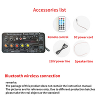 D10-II 30W Mono Bluetooth Ev Tipi Amplifikatör Kartı Ekranlı USB Araç İçi