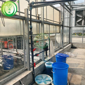 الأكثر مبيعًا الدفيئة الزراعية الحديثة الصغيرة مع نظام الري الذكي مادة غطاء PE - Product Image 4