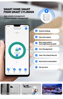 Serrure de porte intelligente pour maison connectée avec reconnaissance iris, en alliage de zinc, WiFi, modes de déverrouillage par carte mémoire, mot de passe, clé et carte d'identité pour portes en bois/acier