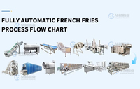 800kg/uur Volledig Automatische Groente- & Fruitolie-gefradeerde Aardappelchips Friteuse Voedselproductielijn Voedselveilige RVS
