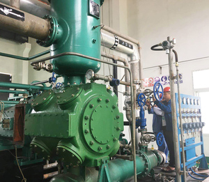 Stationair Psa-Staartprocessysteem Voor Olievrije Heen En Weer Bewegende Gascompressor Kooldioxide-Waterstofterugwinning Met Motor - Product Image 1
