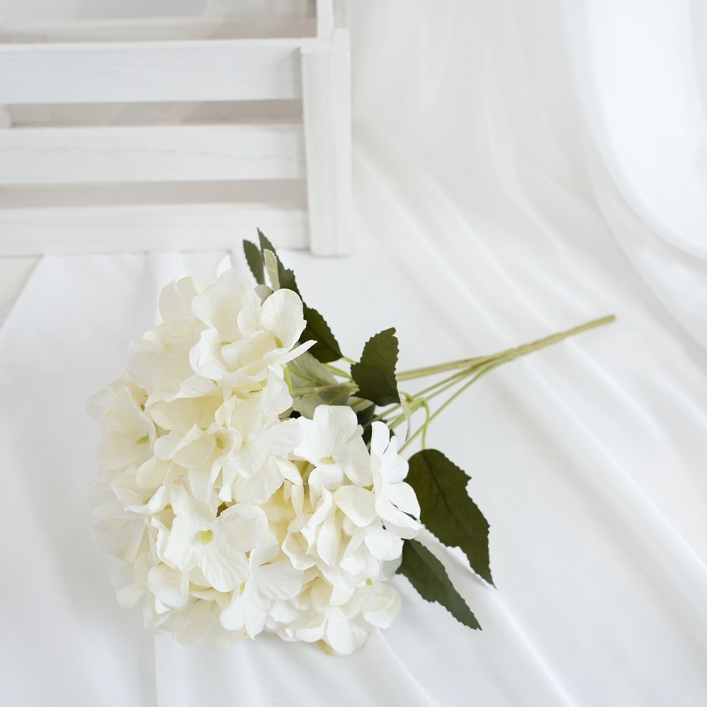Blanc