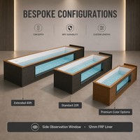 Piscine hors sol de luxe intégrée haut de gamme avec fenêtre en verre, piscine extérieure moderne pour jardin 20ft/40ft