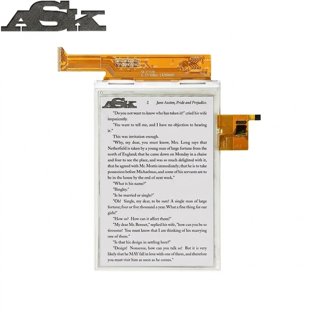 Black/White or Color 6inch Touch Epaper E Ink Reader Screen for Kindle