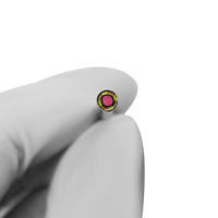 Modul Kamera Endoskop Fokus Tetap Diameter 3.9mm OEM, Modul Kamera CMOS Ringkas untuk Inspeksi Medis dan Industri