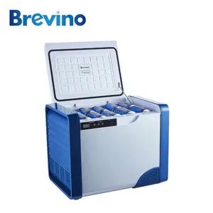 Blue color car and home used DC12V 24V portable mini cooler beauty refrigerator 20L mini fridge for Cosmetic