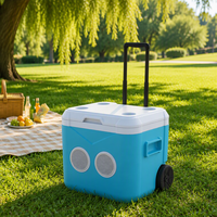 Glacière isotherme portable 52L avec poignée et haut-parleur pour camping, pêche, pique-nique, plage