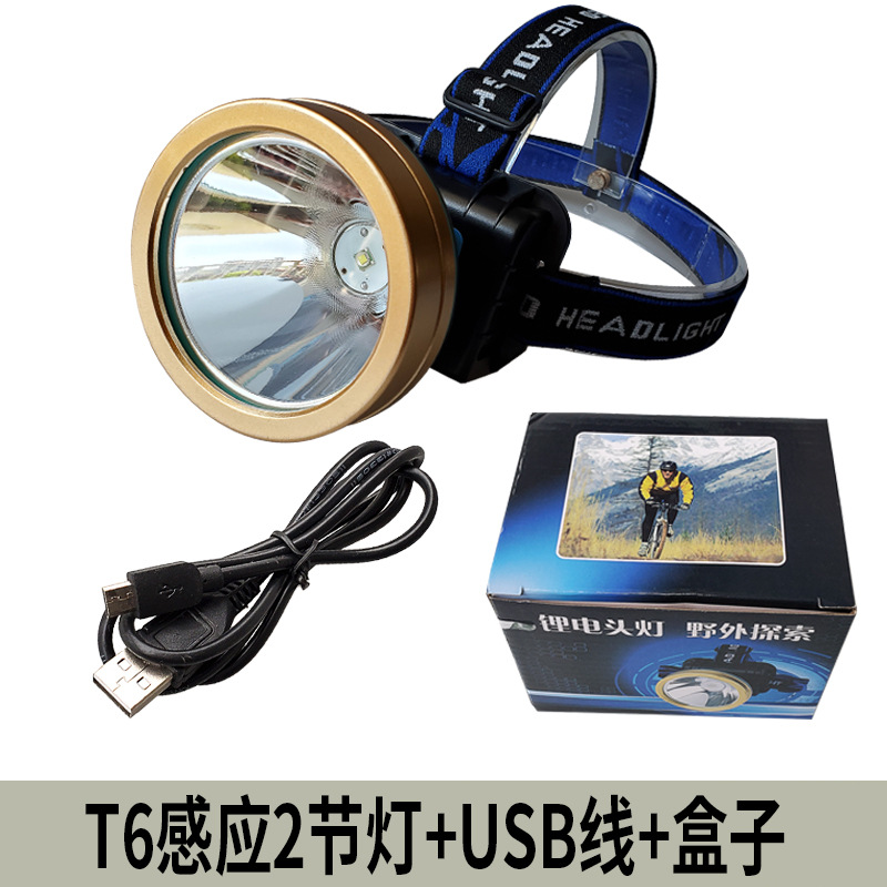 3010-6 Sensor White Light 10W with Built-in 2 Batteries