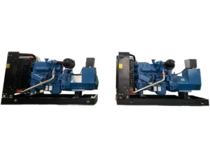 200W 25Kva 30Kva 低回転数 燃料効率の高い 静音ディーゼル発電機 - Product Image 5