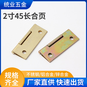 Door Window Hinges 2 Inch 45mm Long Iron Industrial Cabinet Folding Door Hardware 180 Degree Opening Angle - Product Image 5