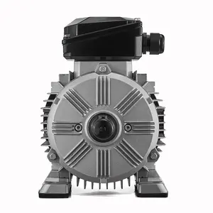 WE4 YE4 dökme demir 8P/750RPM IE4 AC asenkron motor (80 ~ 355mm 0.75 ~ 375kW) WOLONG çin'de yapılan pompalar fanlar redüktörlerinde kullanılır