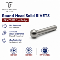 Rivets ronds en acier sur mesure TianFang pour liaisons de machines, avec revêtement par tréfilage et devis gratuit offert dans un délai d'un jour