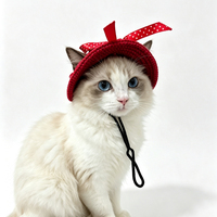 Chapeau d'été en maille pour animaux de compagnie, avec nœud en ruban à pois, sangle de cou réglable, casquette de soleil pour chaton et chiot, idéal pour la photographie en extérieur