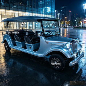 Voiture électrique rétro vintage personnalisée à fonctionnement silencieux pour la mobilité des visiteurs des jardins botaniques et des parcs aquatiques - Product Image 1