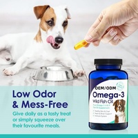 OEM grosir murni Omega-3 minyak ikan gel lunak untuk anjing mantel kulit dukungan kekebalan tubuh kesehatan untuk penumpahan/kering/gatal alergi kulit