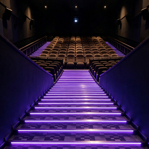 Lámpara LED de 5mm para Escaleras de Cine, con Clasificación IP68, Material PMMA, Tira de Luz Decorativa para Ingeniería - Product Image 2