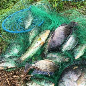 <span class=keywords><strong>Filet</strong></span> <span class=keywords><strong>de</strong></span> pêche en nylon monofilament haute résistance, fabriqué en Chine, prix <span class=keywords><strong>de</strong></span> gros, facile à lancer - Product Image 4