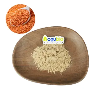 高品质纯有机红扁豆粉散装价格99% 红扁豆粉纯天然红扁豆粉