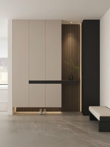 Armoires d'entrée, armoires à chaussures et penderies murales personnalisables, de style moderne, légères et luxueuses - Product Image 5