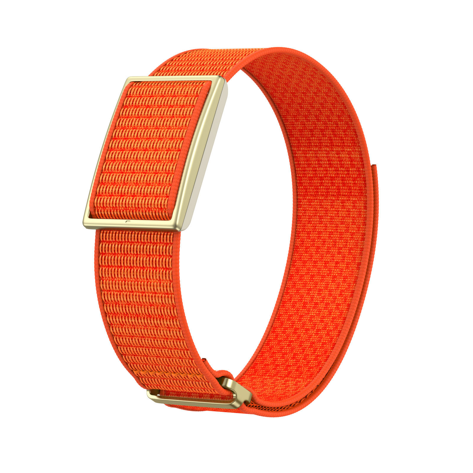 Orange - Boucle dorée