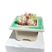 Nouveau style de pot de fleurs pour succulentes, design minimaliste glacé effet craquelé, combinaison sur pied et de bureau, simple et auto-absorbant