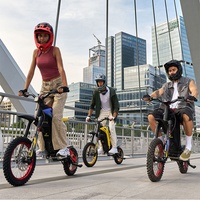 79bike Titaone S Elektro-Dirtbike Aluminiumlegierungsrahmen Offroad 48V25Ah Lithium-Batterie 50km/h Höchstgeschwindigkeit Black Bee Rattlesnake