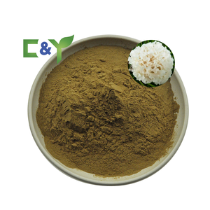 Sản xuất <span class=keywords><strong>sparassis</strong></span> <span class=keywords><strong>crispa</strong></span> <span class=keywords><strong>sparassis</strong></span> <span class=keywords><strong>crispa</strong></span> chiết xuất bột <span class=keywords><strong>sparassis</strong></span> <span class=keywords><strong>crispa</strong></span> chiết xuất - Product Image 1