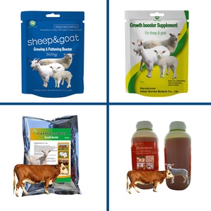 Supplément <span class=keywords><strong>de</strong></span> croissance rapide <span class=keywords><strong>de</strong></span> 2.5kg Multivitamine 4% prémélange d'engraissement pour le bétail - Product Image 4