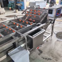 Automatische luchtbelwasmachine SUS304 roestvrij staal fruit groente zeevruchten reinigingsmachine voor voedselverwerkingsbedrijven