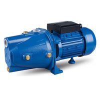Pompe JET auto-amorçante JET-100S JET100S JETS-100 JETS100 0,75 kW, corps en fonte, moteur à fil de cuivre, fabrication OEM
