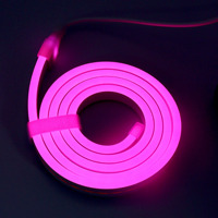 LED-Streifen Neonlicht USB DC 5V Dimmbar mit Berührungssensor-Schalter Flexibles Silikon-Neonschild-Band Wasserdicht für Außen- und Heimdekoration