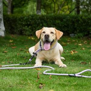 Correa para Pájaros MORXIL de 6 Pies, Resistente, con Mosquetón de Aluminio de Aviación con Bloqueo Automático, Correa de Nailon Resistente para Mascotas con Luces - Product Image 6