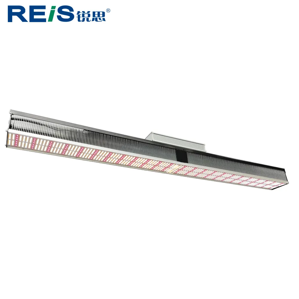 REIS 500W 단일 바 성장 램프 수율 1.6 g/W 전체 스펙트럼 실내 온실 수직 농업 성장 LED 조명