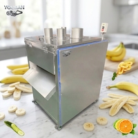 YouBan Food Grade Afdruipbare Snijmachine voor Meerdere Doeleinden, Fruit & Groente Snijmachine met Verstelbare Dikte