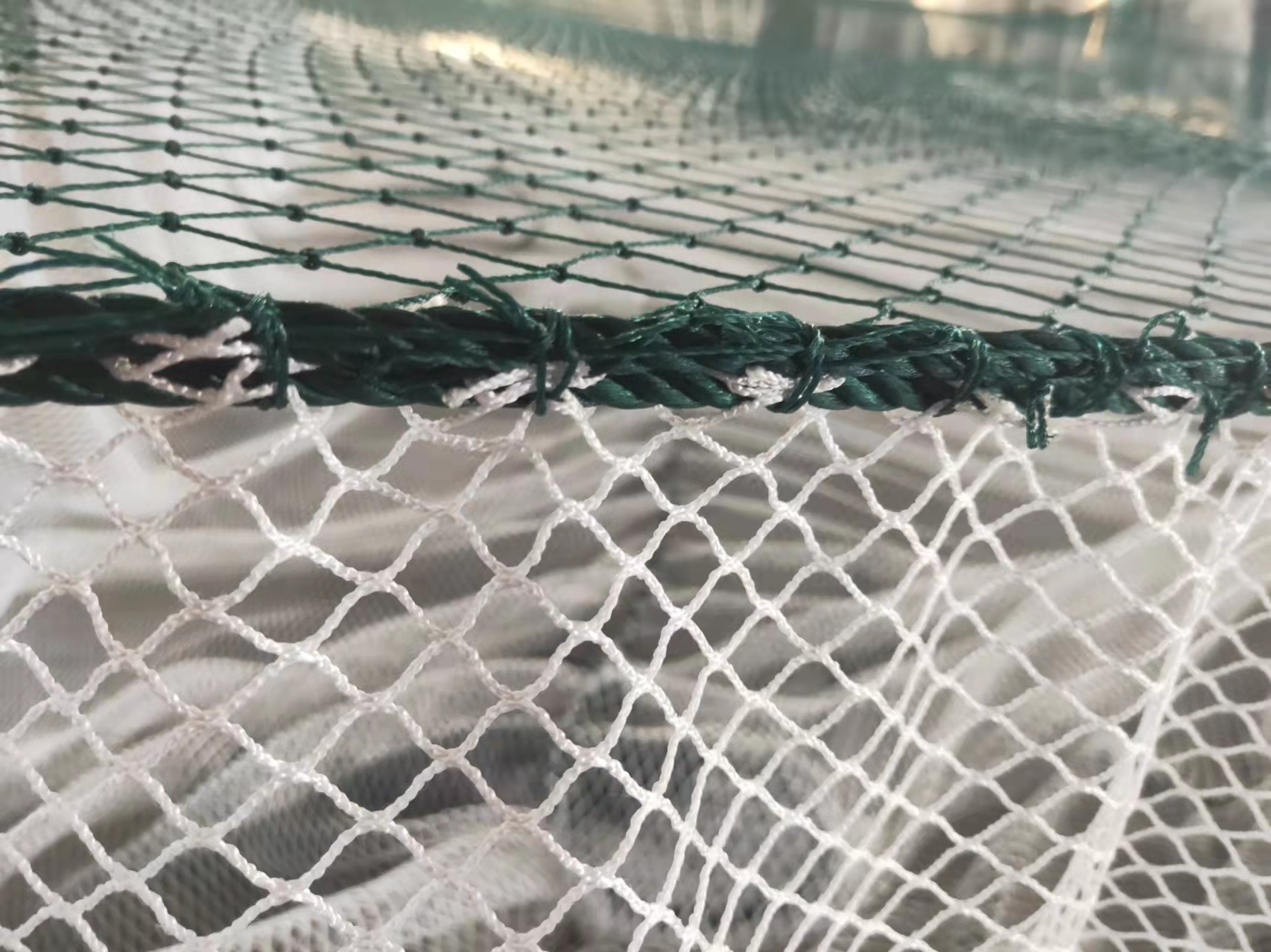 广西壮族自治区生活必需品市场价格以降为主 （2026年3月）