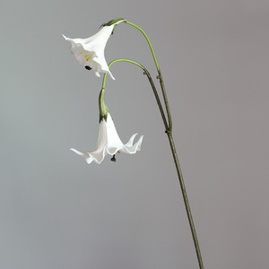 YOPIN-7858 Flor Artificial de Datura <span class=keywords><strong>Stramonium</strong></span> Blanca de Alta Calidad con 2 Cabezas, Tacto Real, de PU, para Centro de Mesa, Decoración de Bodas - Product Image 2