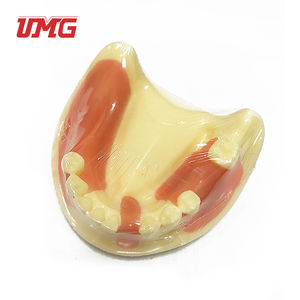 Aides pédagogiques dentaires Modèle de formation aux implants dentaires - Product Image 4